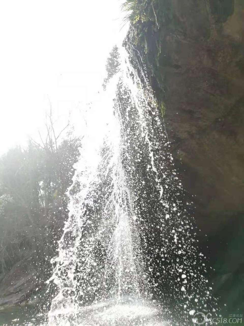 小猫钓鱼游戏龙王版有船