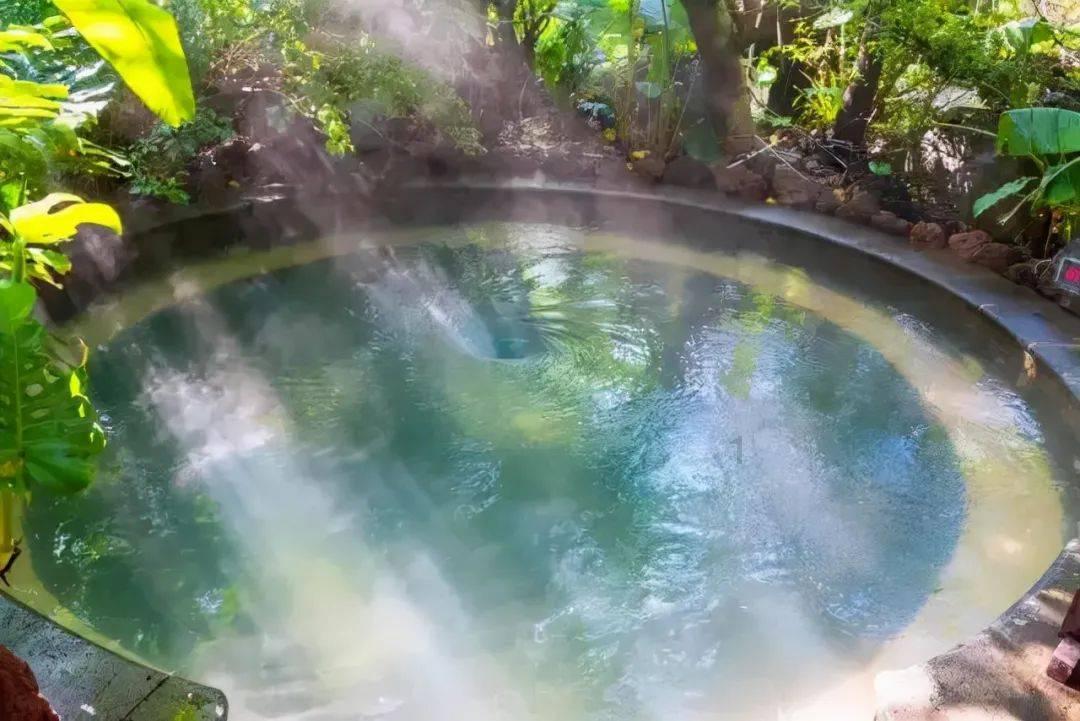 虫虫助手下载