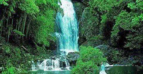 液化天然气站养海鲜?走!去现场看看