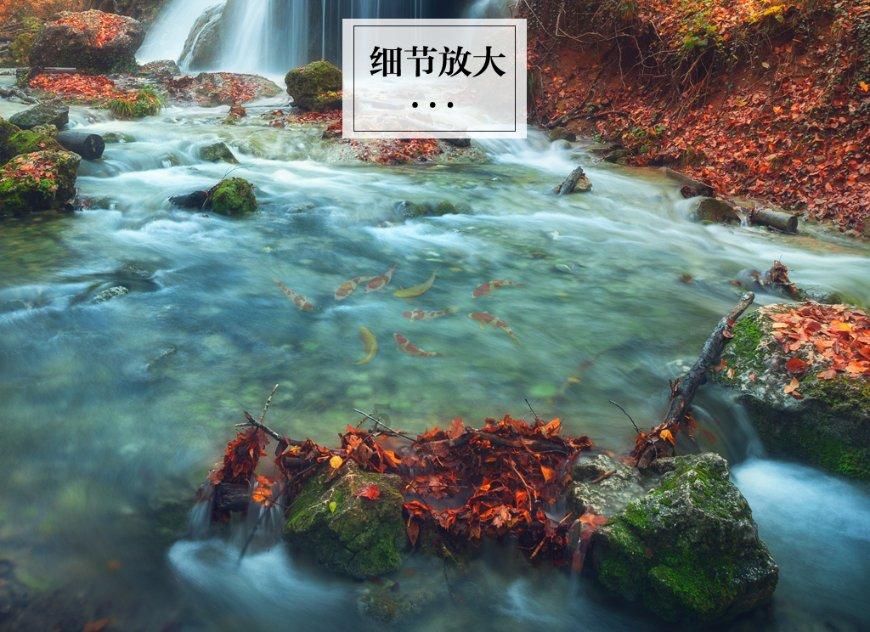 骗子的谎言