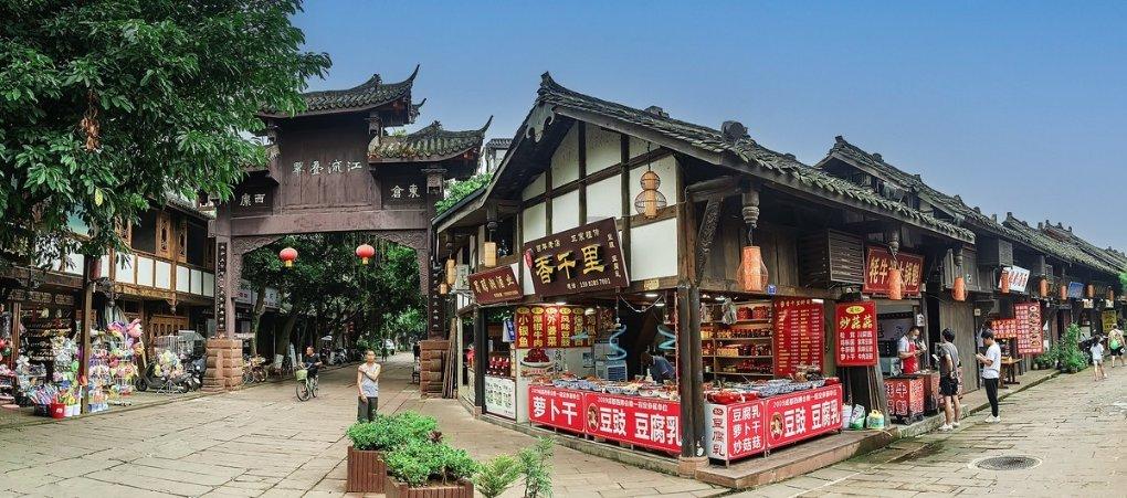 社区里的流浪猫应如何正确救济? - 机智问答,解答您的疑惑