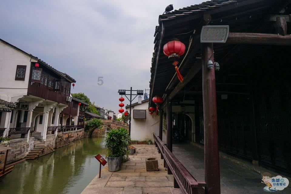 救援大嘴鸟