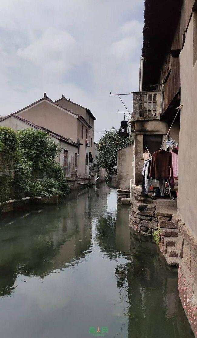空闲农场